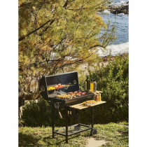 Barbecue a charbon MIKE - 2 grilles acier chromé - Surface de cuisson