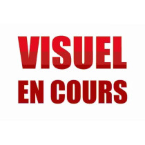Washimals - Mes animaux a colorier - CRAYOLA - 4 animaux Pat'Patrouill