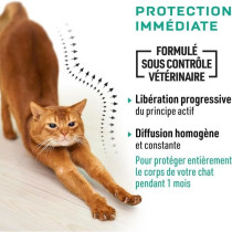 VETOCANIS 4 Pipettes Anti-puces et anti-tiques - Pour Chat - 4x 1 mois