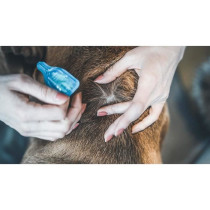 VETOCANIS Pipette Action Duo Spot on - Anti-puces et anti-tiques pour