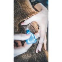 VETOCANIS Pipette Action Duo Spot on - Anti-puces et anti-tiques pour