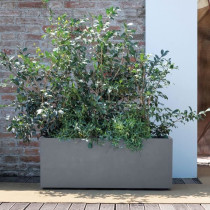 Jardiniere Muret - DEROMA - Millennium R - Ashgrey - A réserve d'eau