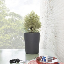 Pot de fleur Vase - DEROMA - Millennium R - Anthracite - A réserve d'