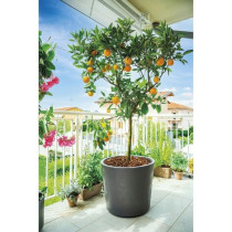 Pot de fleur Vase - DEROMA - Millennium R - Anthracite - A réserve d'