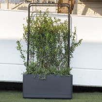 Jardiniere Muret - DEROMA - Cosmo - Anthracite - A réserve d'eau - Ro