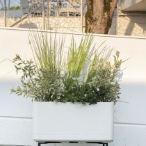 Jardiniere Muret - DEROMA - Cosmo - Perle - A réserve d'eau - Roulett