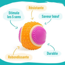 Balle pour chien - AIMÉ - 5 en 1 Saveur Boeuf