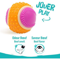 Balle pour chien - AIMÉ - 5 en 1 Saveur Boeuf