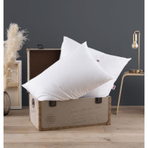 DODO Lot de 2 Oreillers Médium - L'ESSENTIEL - 50x70 cm - 100% Polyes