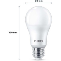 Ampoule LED - PHILIPS - 100 W - A67 E27 - Blanc froid - Non dimmable x