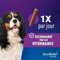 DentActiv - 12 Bâtonnets - VETOCANIS - Mini Bâtonnets Hygiene Bucco-