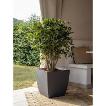Bac a fleurs - DIVA BASALT - Gris anthracite - Carré - 42 L - 43,5 x