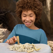 Jeu de fouille - ZURU - ROBO ALIVE Dino Fossil Find - 4 dinos a assemb