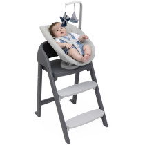 Siege naissance - CHICCO - Crescendo - Inclinable - Gris