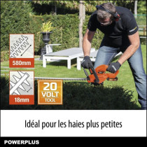 Dual Power Taille-Haie Batterie POWDPG7531 - 20 V, sans Batterie ni Ch
