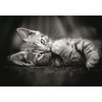 CLEMENTONI - Compact 1000 pieces - Kitty