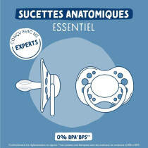 Duo sucettes anatomiques - DODIE - EDL A103 - +6 mois - Panda roux