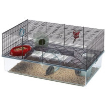Cage - FERPLAST - FAVOLA - 60 x 36,5 x h 30 cm - Hauteur de bac élev