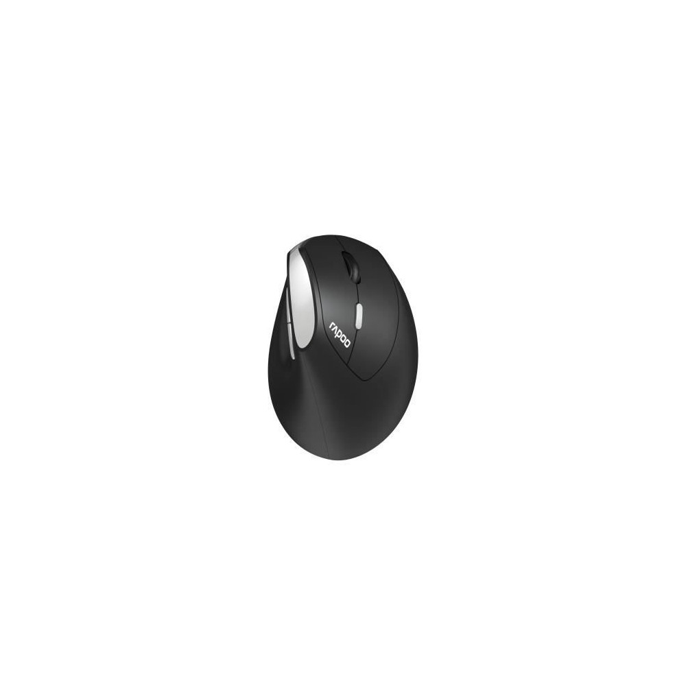 Souris - Sans fil - Rapoo - EV250 - Noir Souris - Sans fil - Rapoo - EV250 - Noir