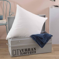 Oreiller - TOISON D'OR - POLLUX - Confort ferme - 65 x 65 cm - Blanc