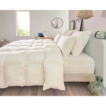 Oreiller - TOISON D'OR - POLLUX - Confort ferme - 50 x 70 cm - Blanc