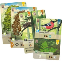 Jeu de société - ASMODEE - LKGFOM01FR - Foret mixte - 180 cartes - 6