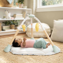 INGENUITY Aide jeux a rebonds bébé 6-en-1 évolutif : se tranforme e