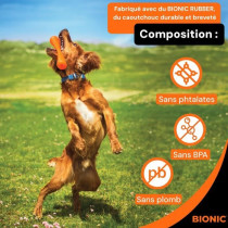 Jouet pour chien - BIONIC - Bâton Urban stick - Taille Medium 23 cm -