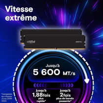 Mémoire RAM - CRUCIAL - DDR5 PRO - Kit 48 Go (2 x 24 Go) - 5600 M