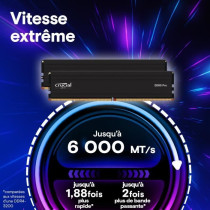 Mémoire RAM - CRUCIAL - DDR5 PRO - Kit 48 Go (2 x 24 Go) - 6000 M
