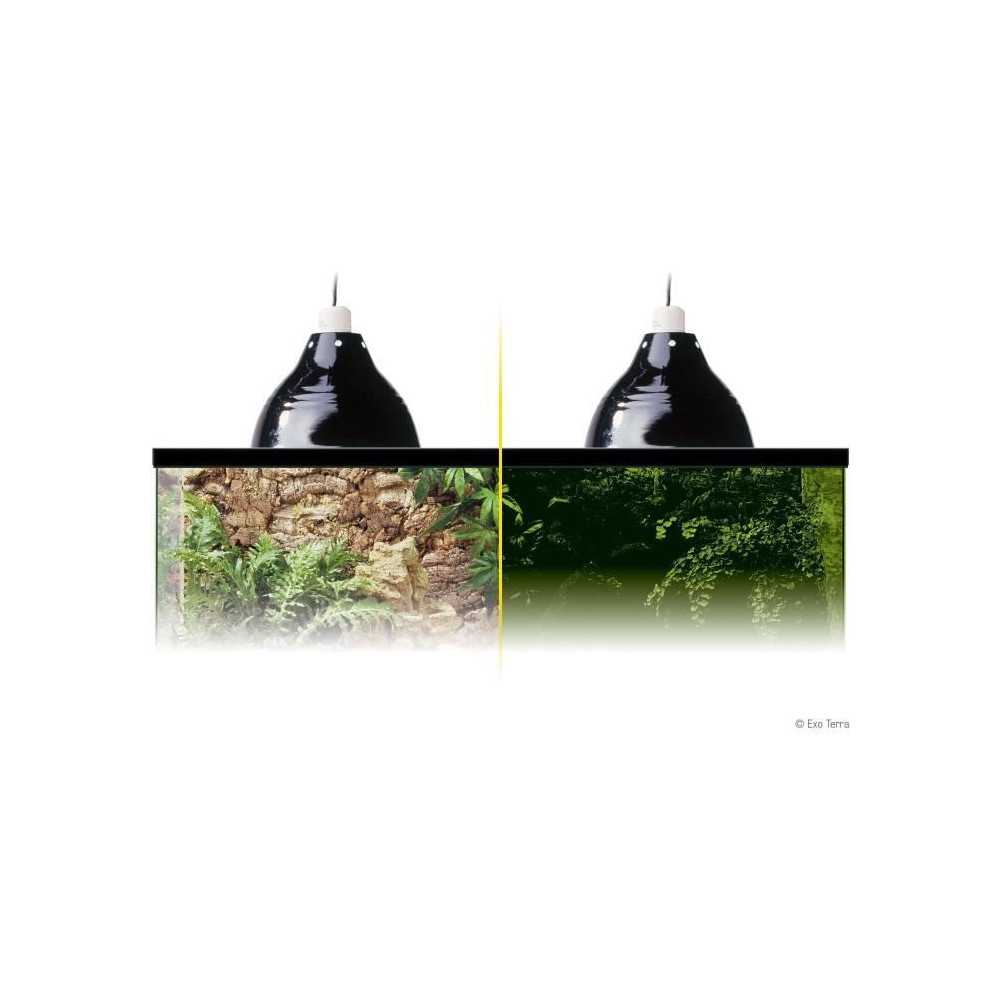 Lampe d'éclairage pour terrarium - EXO TERRA - Glow Light S - Pince a