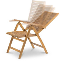 Chaise réglable - Fieldmann - FDZN 4101-T