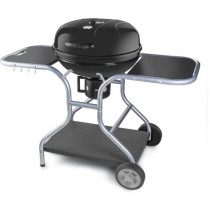 Barbecue au charbon de bois - Fieldmann - FZG 1014