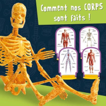 Découverte du corps humain - Kit Scientifique - I'M A GENIUS POCKET -