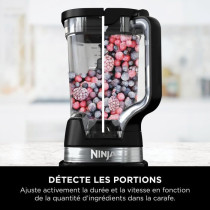 Blender professionnel haute performance NINJA Detect - Noir et argent