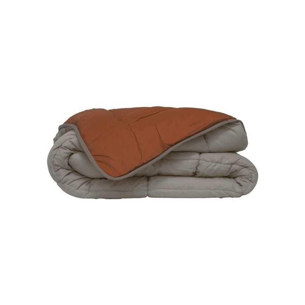 POYET MOTTE Couette Microfibre 400g/m² CALGARY - 140 x 200 cm - Gris
