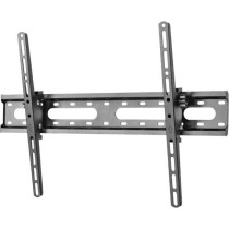 Support réglable - SLIM - pour TV 37 - 70 - Stell - SHO 4420