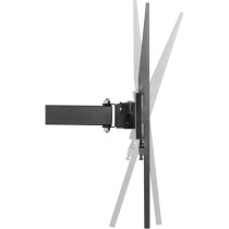 Support mobile pour téléviseur 32 - 55 - Stell - SHO 4600