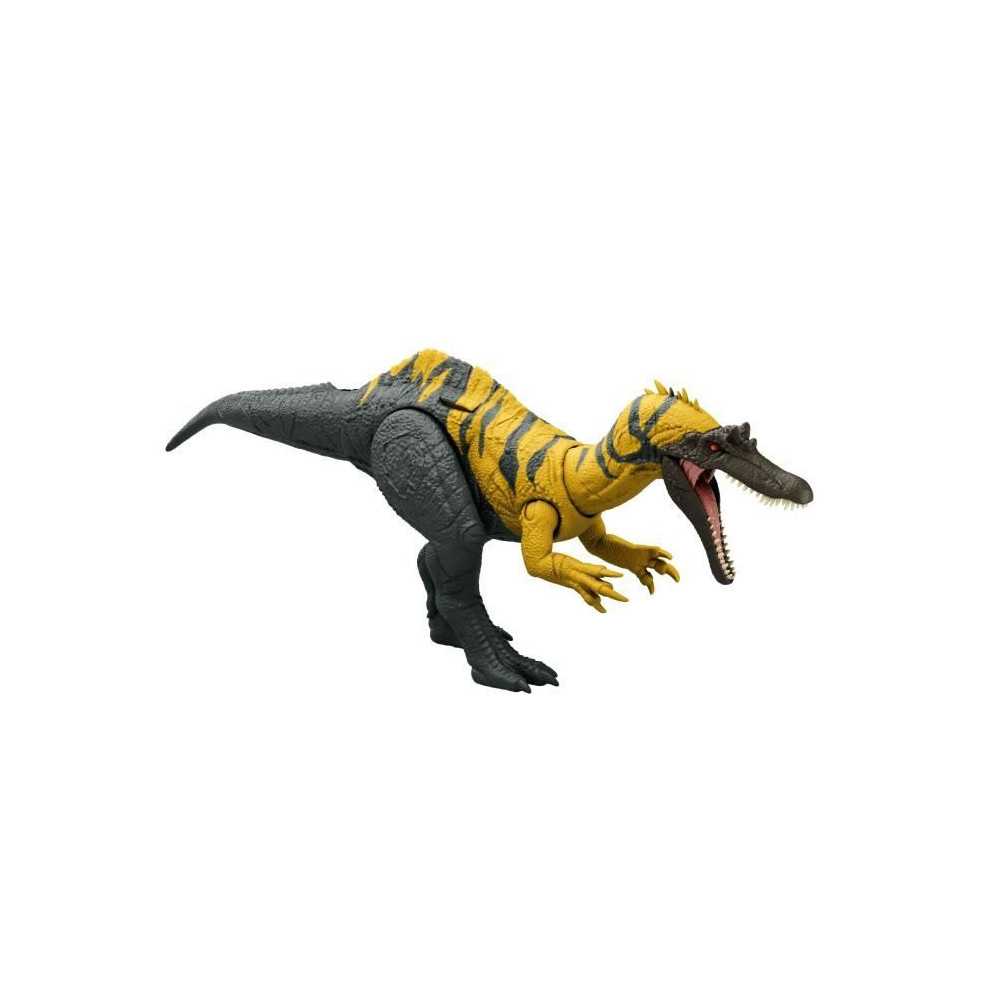 CERATOSUCHOPS SONORE CERATOSUCHOPS SONORE