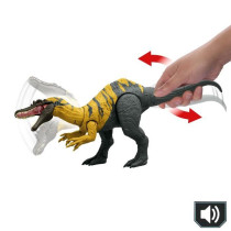 CERATOSUCHOPS SONORE
