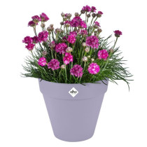 Pot de fleur - Elho - Loft Urban Rond - Roues 50 - Violet - L 49 x B 4