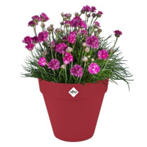 Pot de fleur - Elho - Loft Urban Rond - Roues 50 - Rouge - L 49 x B 48