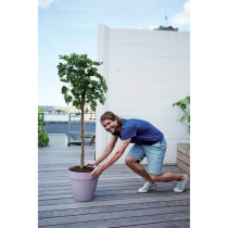 Pot de fleur - Elho - Loft Urban Rond - Roues 50 - Violet - L 49 x B 4