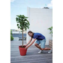 Pot de fleur - Elho - Loft Urban Rond - Roues 50 - Rouge - L 49 x B 48