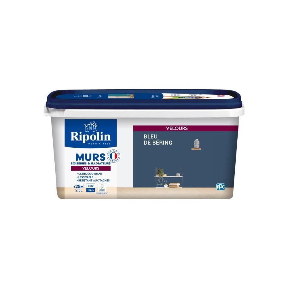 Déco murs boiseries & radiateurs bleu de béring velours - RIPOLIN - Déco murs boiseries & radiateurs bleu de béring velours - RIPOLIN -