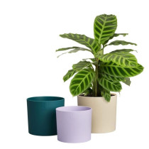 Pot de fleur - Elho - Lex Pott - Set 14 - Blanc Vert Violet - L 14 x B