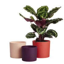 Pot de fleur - Elho - Lex Pott - Set 14 - Rouge Rose Violet - L 14 x B