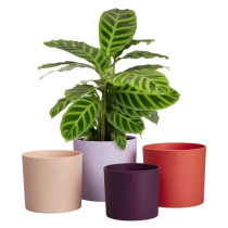 Pot de fleur - Elho - Lex Pott - Set 15 - Violet Rouge Rose Violet - L