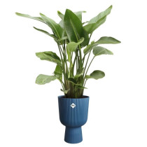 Pot de fleur - Elho - Vibes Fold Coupe - Bleu - L 30 x B 29.5 x H 45 c
