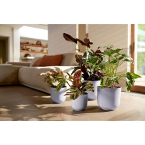Pot de fleur - Elho - Jazz Rond - Violet - L 30 x B 29.5 x H 27 cm - I